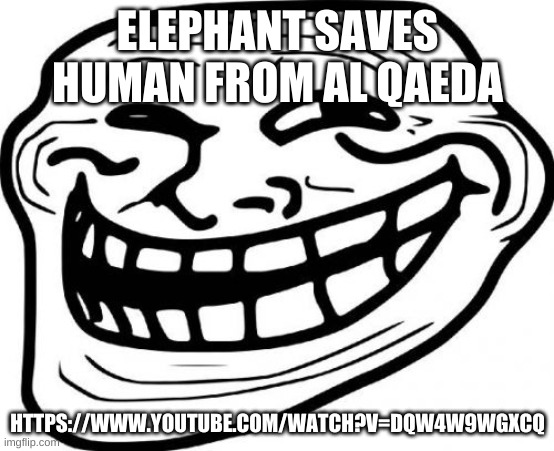 Troll Face Meme | ELEPHANT SAVES HUMAN FROM AL QAEDA; HTTPS://WWW.YOUTUBE.COM/WATCH?V=DQW4W9WGXCQ | image tagged in memes,troll face | made w/ Imgflip meme maker