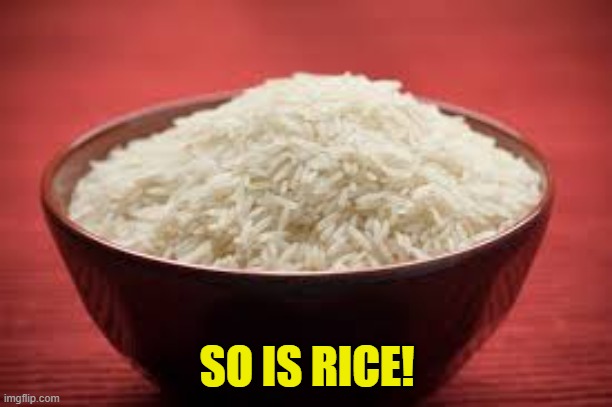 All this rice | SO IS RICE! | image tagged in all this rice | made w/ Imgflip meme maker