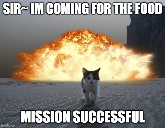 cat explosion | SIR~ IM COMING FOR THE FOOD; MISSION SUCCESSFUL | image tagged in cat explosion | made w/ Imgflip meme maker