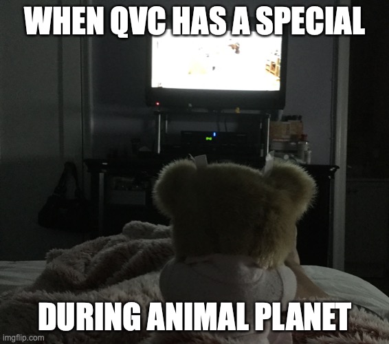 LOVE MY ANIMALS! | WHEN QVC HAS A SPECIAL; DURING ANIMAL PLANET | image tagged in memes | made w/ Imgflip meme maker