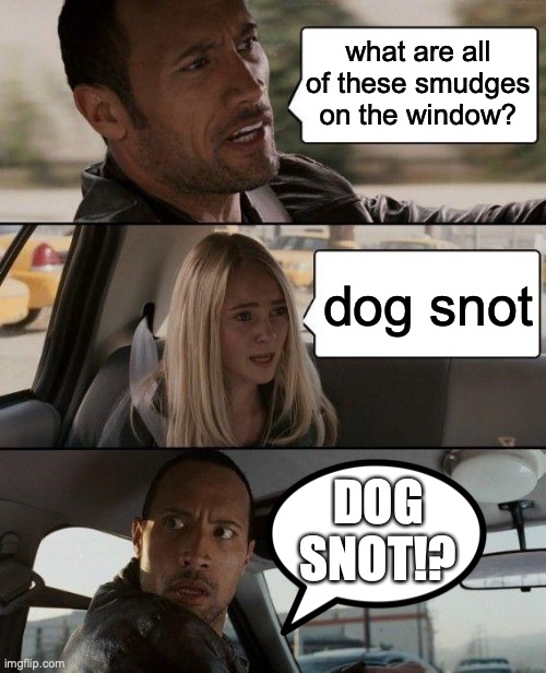 The Rock Driving Meme | what are all of these smudges on the window? dog snot; DOG SNOT!? | image tagged in memes,the rock driving | made w/ Imgflip meme maker