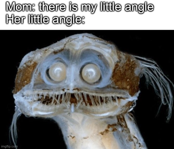 Karen’s go brrrrrr | Mom: there is my little angle
Her little angle: | image tagged in karen,ugly,funny,funny memes | made w/ Imgflip meme maker