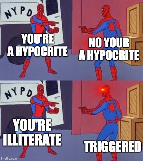 YOU'RE A HYPOCRITE; NO YOUR A HYPOCRITE; YOU'RE ILLITERATE; TRIGGERED | image tagged in spiderman pointing at spiderman | made w/ Imgflip meme maker