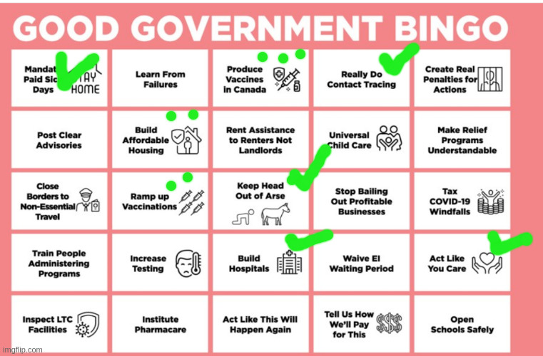 Good Government Binga | image tagged in good government binga | made w/ Imgflip meme maker
