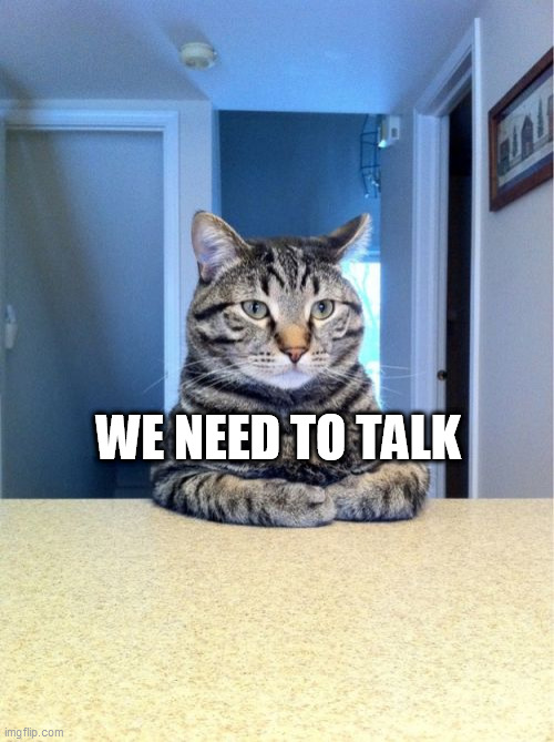Take A Seat Cat | WE NEED TO TALK | image tagged in memes,take a seat cat | made w/ Imgflip meme maker