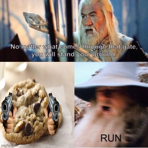 HERE COMES COOKIESSSSSS | image tagged in haha | made w/ Imgflip meme maker