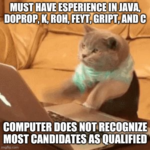 typing-cat | MUST HAVE ESPERIENCE IN JAVA, DOPROP, K, ROH, FEYT, GRIPT, AND C COMPUTER DOES NOT RECOGNIZE MOST CANDIDATES AS QUALIFIED | image tagged in typing-cat | made w/ Imgflip meme maker