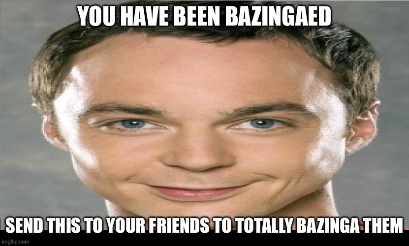 Funny Bazinga Man | YOU HAVE BEEN BAZINGAED; SEND THIS TO YOUR FRIENDS TO TOTALLY BAZINGA THEM | image tagged in funny bazinga man | made w/ Imgflip meme maker