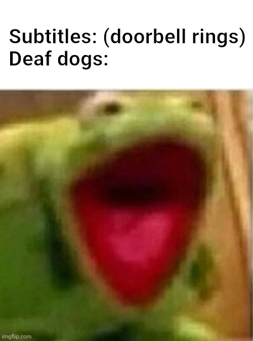 AHHHHHHHHHHHHH | Subtitles: (doorbell rings)
Deaf dogs: | image tagged in ahhhhhhhhhhhhh | made w/ Imgflip meme maker