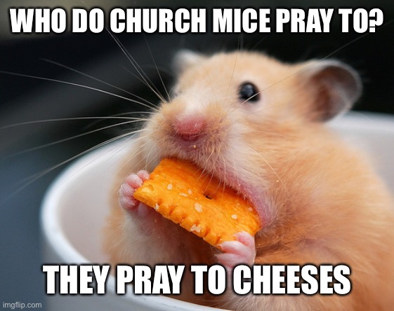 Cheese mouse | WHO DO CHURCH MICE PRAY TO? THEY PRAY TO CHEESES | image tagged in cheese mouse | made w/ Imgflip meme maker