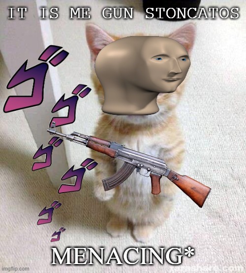 I was bored,mk? | IT IS ME GUN STONCATOS; MENACING* | image tagged in memes,cute cat | made w/ Imgflip meme maker