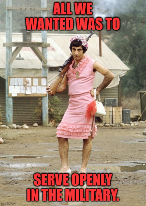 Klinger MASH | ALL WE WANTED WAS TO SERVE OPENLY IN THE MILITARY. | image tagged in klinger mash | made w/ Imgflip meme maker