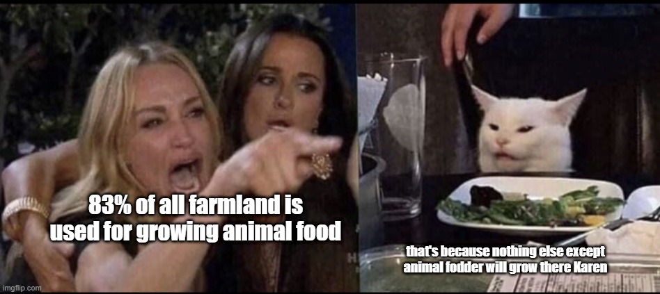 animal fodder | 83% of all farmland is used for growing animal food; that's because nothing else except animal fodder will grow there Karen | image tagged in karen carpenter and smudge cat | made w/ Imgflip meme maker