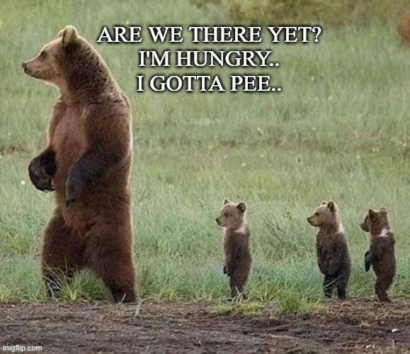 Bears | ARE WE THERE YET?
I'M HUNGRY..
I GOTTA PEE.. | image tagged in memes,bears | made w/ Imgflip meme maker
