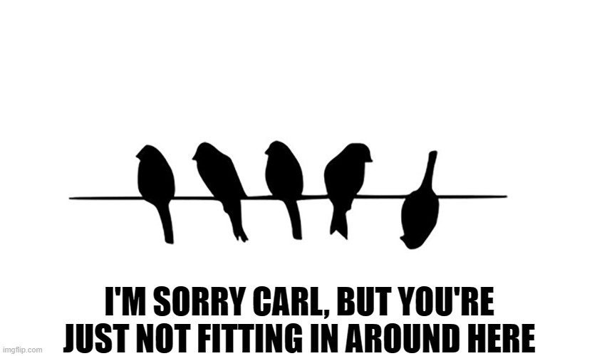 birds | I'M SORRY CARL, BUT YOU'RE JUST NOT FITTING IN AROUND HERE | image tagged in birds | made w/ Imgflip meme maker
