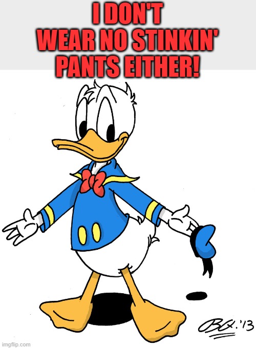 donald duck shrugs | I DON'T WEAR NO STINKIN' PANTS EITHER! | image tagged in donald duck shrugs | made w/ Imgflip meme maker