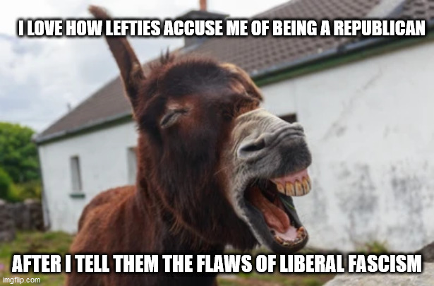 Jackass | I LOVE HOW LEFTIES ACCUSE ME OF BEING A REPUBLICAN; AFTER I TELL THEM THE FLAWS OF LIBERAL FASCISM | image tagged in liberal fascism | made w/ Imgflip meme maker
