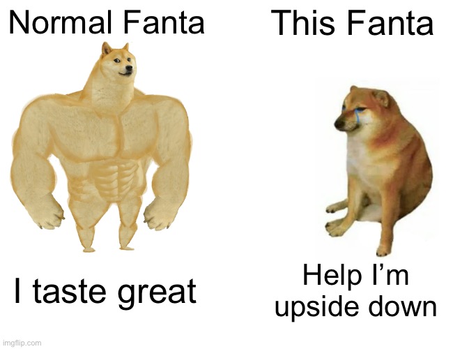 Buff Doge vs. Cheems Meme | Normal Fanta This Fanta I taste great Help I’m upside down | image tagged in memes,buff doge vs cheems | made w/ Imgflip meme maker