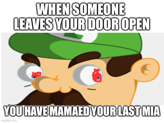 WHEN SOMEONE  LEAVES YOUR DOOR OPEN; YOU HAVE MAMAED YOUR LAST MIA | image tagged in funny | made w/ Imgflip meme maker