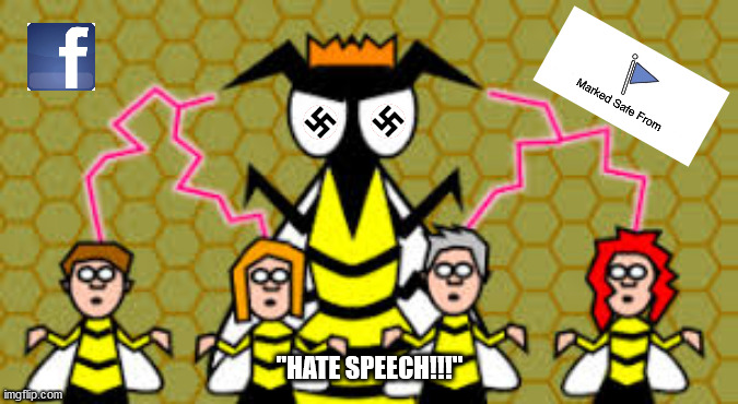 "Anyone who doesn't agree with us is a Nazi" | image tagged in hate speech,liberal fascism | made w/ Imgflip meme maker