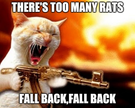 machine gun cat | THERE'S TOO MANY RATS; FALL BACK,FALL BACK | image tagged in machine gun cat | made w/ Imgflip meme maker