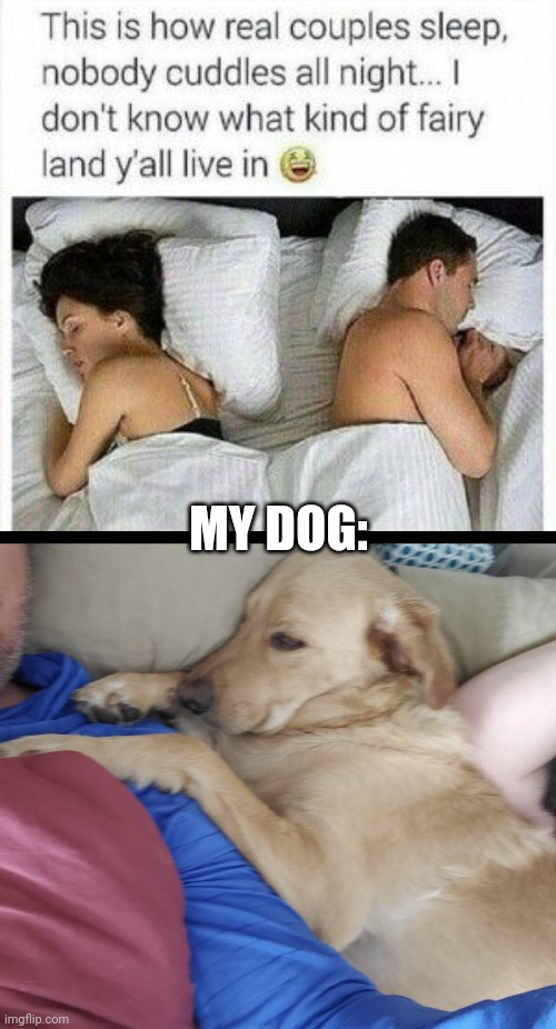 Let's be real | MY DOG: | image tagged in memes,dogs pets funny,married,funny dogs,no sleep,modern problems | made w/ Imgflip meme maker