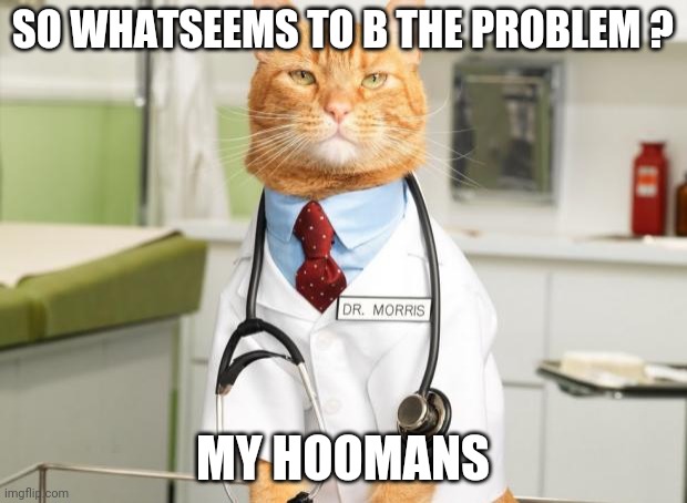 Cat Doctor |  SO WHATSEEMS TO B THE PROBLEM ? MY HOOMANS | image tagged in cat doctor | made w/ Imgflip meme maker