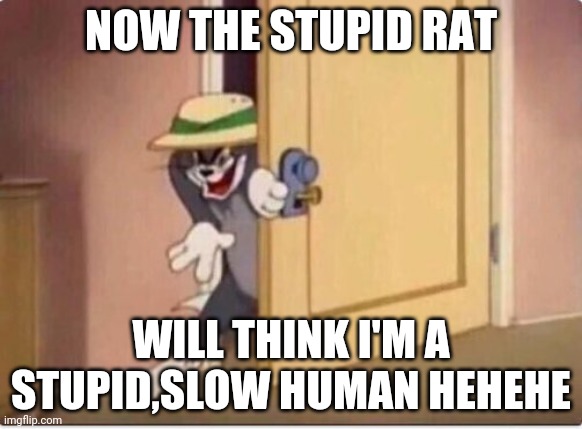 TOM SNEAKING IN A ROOM | NOW THE STUPID RAT; WILL THINK I'M A STUPID,SLOW HUMAN HEHEHE | image tagged in tom sneaking in a room | made w/ Imgflip meme maker
