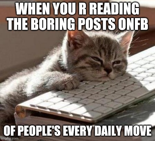tired cat | WHEN YOU R READING THE BORING POSTS ONFB; OF PEOPLE'S EVERY DAILY MOVE | image tagged in tired cat | made w/ Imgflip meme maker