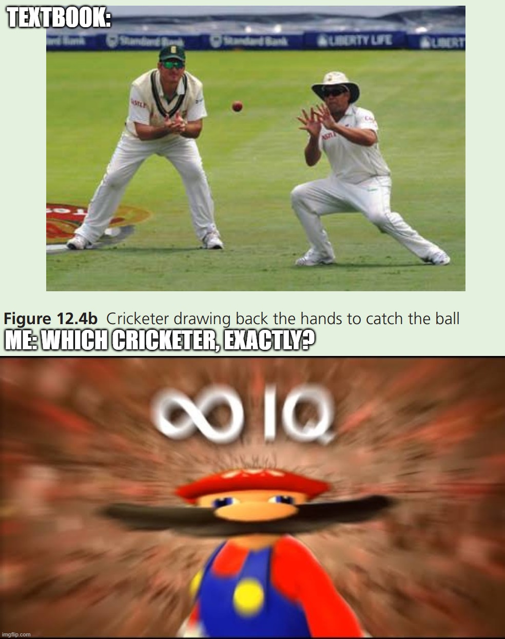Which cricketer, exactly? | TEXTBOOK:; ME: WHICH CRICKETER, EXACTLY? | image tagged in infinite iq,logic,cricket,ball,catching,sports | made w/ Imgflip meme maker