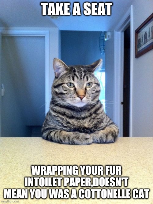 Take A Seat Cat | TAKE A SEAT; WRAPPING YOUR FUR INTOILET PAPER,DOESN'T MEAN YOU WAS A COTTONELLE CAT | image tagged in memes,take a seat cat | made w/ Imgflip meme maker