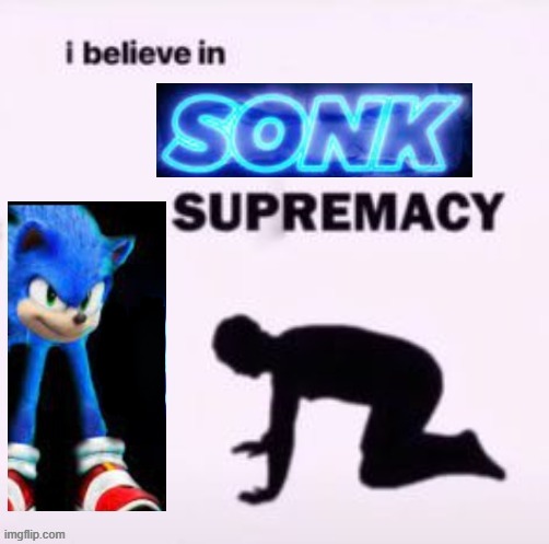 S O N K | image tagged in sonk | made w/ Imgflip meme maker