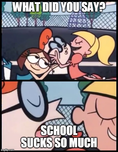 it kinda tru | WHAT DID YOU SAY? SCHOOL SUCKS SO MUCH | image tagged in memes,say it again dexter | made w/ Imgflip meme maker