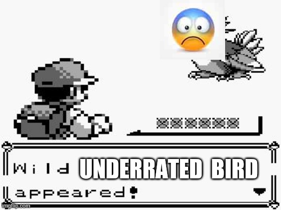 pokemon appears | UNDERRATED  BIRD | image tagged in pokemon appears | made w/ Imgflip meme maker