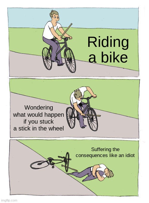 Truth | Riding a bike; Wondering what would happen if you stuck a stick in the wheel; Suffering the consequences like an idiot | image tagged in memes,bike fall | made w/ Imgflip meme maker