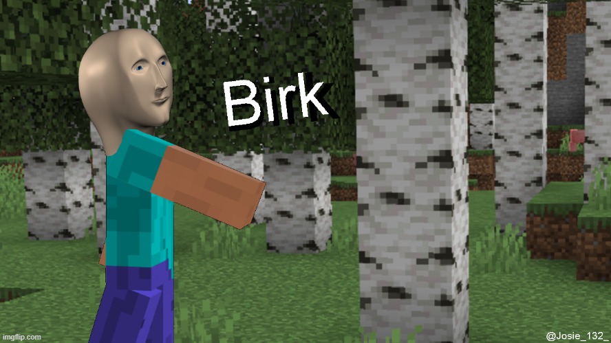 Birk | image tagged in minecraft,meme man,birch tree,birch,minecraft steve,meme man birk | made w/ Imgflip meme maker