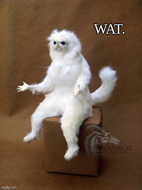 Persian Cat Room Guardian Single Meme | WAT. | image tagged in memes,persian cat room guardian single | made w/ Imgflip meme maker