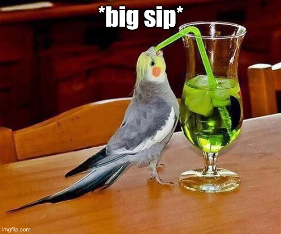 Big Sip | *big sip* | image tagged in big sip | made w/ Imgflip meme maker