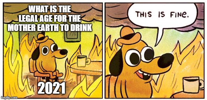 This Is Fine | WHAT IS THE LEGAL AGE FOR THE MOTHER EARTH TO DRINK; 2021 | image tagged in memes,this is fine,funny | made w/ Imgflip meme maker