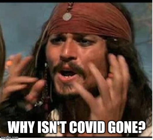 Jack Sparrow | WHY ISN'T COVID GONE? | image tagged in jack sparrow | made w/ Imgflip meme maker