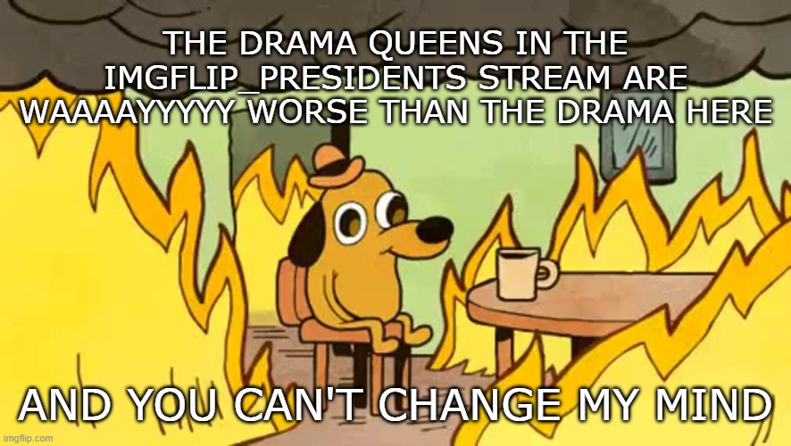 Some people just take things way to seriously and freak out over the stupidest stuff | THE DRAMA QUEENS IN THE IMGFLIP_PRESIDENTS STREAM ARE WAAAAYYYYY WORSE THAN THE DRAMA HERE; AND YOU CAN'T CHANGE MY MIND | image tagged in everythings-fine | made w/ Imgflip meme maker