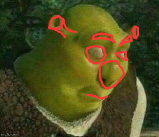 ideklmao | image tagged in shrek face | made w/ Imgflip meme maker