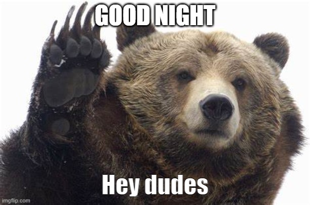 Bear Hey dudes | GOOD NIGHT | image tagged in bear hey dudes | made w/ Imgflip meme maker