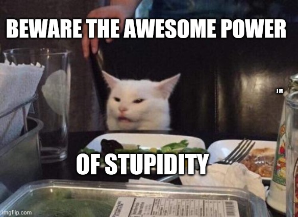 Salad cat | BEWARE THE AWESOME POWER; J M; OF STUPIDITY | image tagged in salad cat | made w/ Imgflip meme maker