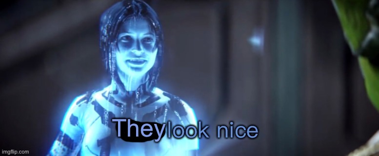 You look nice | They | image tagged in you look nice | made w/ Imgflip meme maker