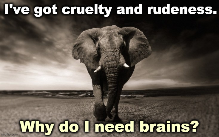 Republican politics. | I've got cruelty and rudeness. Why do I need brains? | image tagged in republicans,cruel,rude,empty,head | made w/ Imgflip meme maker