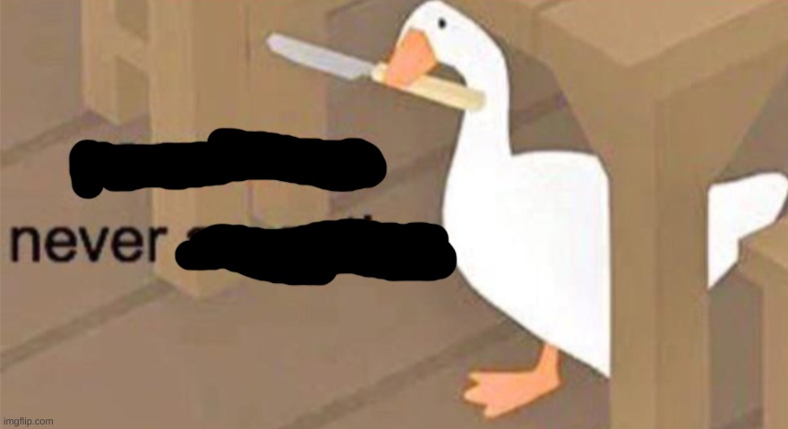 Untitled Goose Peace Was Never an Option | image tagged in untitled goose peace was never an option | made w/ Imgflip meme maker