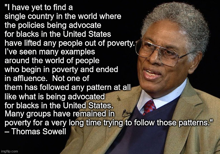 In the 60's the Democrats decided to stop segregating and persecuting blacks and started manipulating them for votes. | "I have yet to find a single country in the world where the policies being advocate for blacks in the United States have lifted any people out of poverty. I’ve seen many examples around the world of people who begin in poverty and ended in affluence.  Not one of them has followed any pattern at all; like what is being advocated for blacks in the United States. Many groups have remained in poverty for a very long time trying to follow those patterns."
– Thomas Sowell | image tagged in democrat vote plantation,hope,self-respect,blacks | made w/ Imgflip meme maker