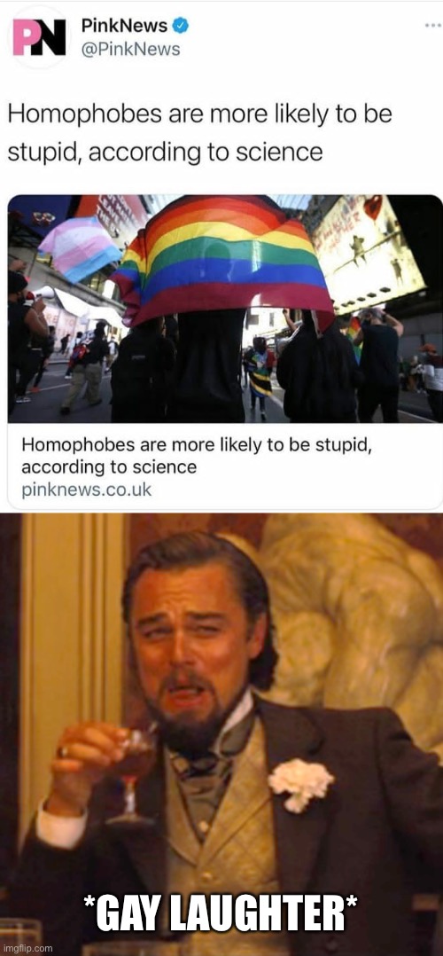 Jokes on you, homophobes! | *GAY LAUGHTER* | image tagged in memes,laughing leo,homophobia | made w/ Imgflip meme maker