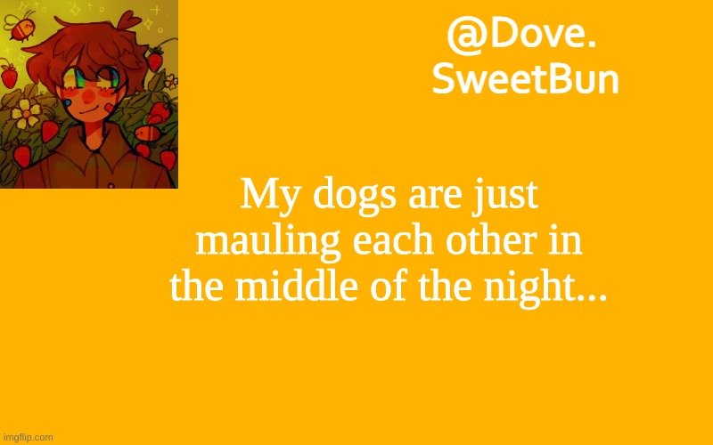 not literally | My dogs are just mauling each other in the middle of the night... | image tagged in another template | made w/ Imgflip meme maker
